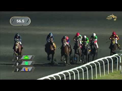 Видео: 16-я Скачка Приз Федерации коневодства и конного спорта РТ (2гр). Казанский ипподром. 30.08.2023