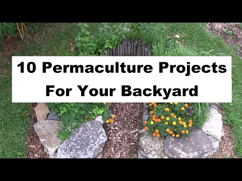 Видео: 10 проектов пермакультуры для вашего двора