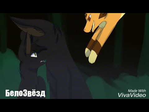 Видео: Остролистая-Hollyleaf[Коты Воители-Cats Warriors (Derniere Dance)]