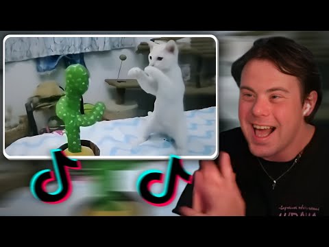 Видео: ЗАСМЕЯЛСЯ - ЗАПЛАТИЛ 400 РУБЛЕЙ / МАФАНЯ СМОТРИТ ВЕБМЫ #5