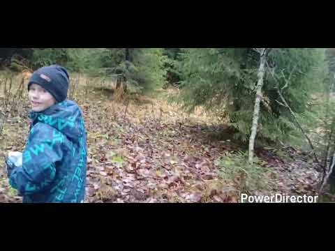 Видео: Обновили заячьи солонцы!