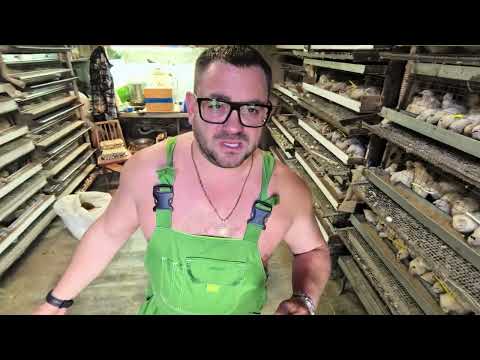 Видео: Новая упаковка для инкубационных яиц, ну куда уж лучше!!!! 👍👍👍