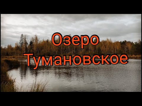 Видео: Озеро Тумановское.