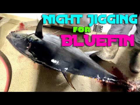 Видео: Ночная джиговая ловля на BLUEFIN [Часть 1]