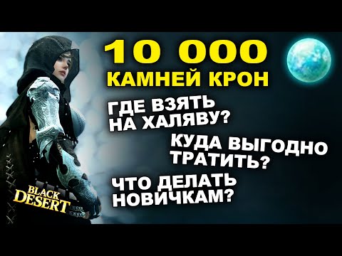 Видео: 🌍10 000 КРОН на ХАЛЯВУ! Где взять в БДО, куда выгодно вложить, зачем они новичкам в BDO-Black Desert
