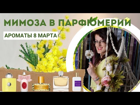 Видео: ЛУЧШИЕ АРОМАТЫ МИМОЗЫ К 8 МАРТА