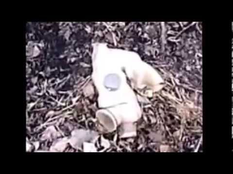 Видео: гарнизон Дальнереченск.wmv