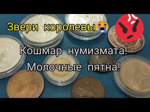 Видео: Кошмар нумизмата молочные пятна на инвест монетах из серебра! Что делать? На каких монетах чаще