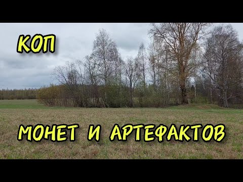 Видео: Коп монет и артефактов 2024 с отличным результатом