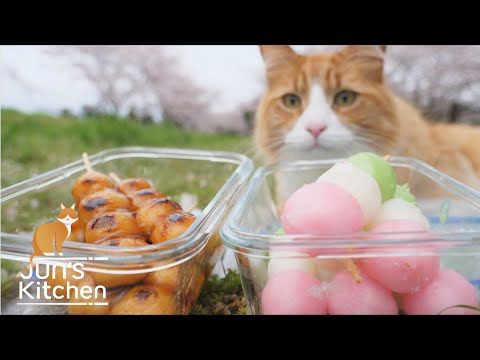 Видео: Домашние японские пельмени (данго)