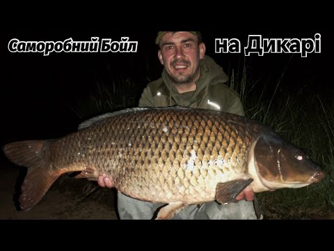 Видео: Ловля КОРОПА на Водосховищі.Червень 11-15 2025.