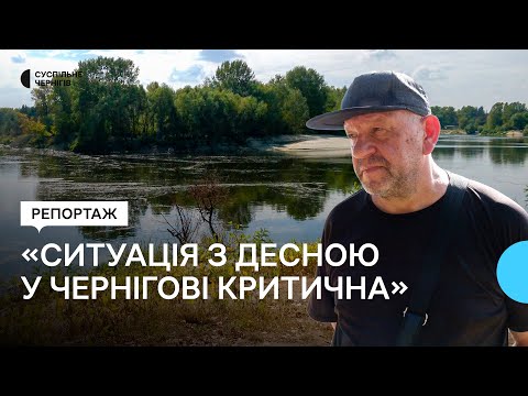 Видео: "Ситуація дуже погана і критична": як у Чернігові очищують Десну від мертвої риби та равликів