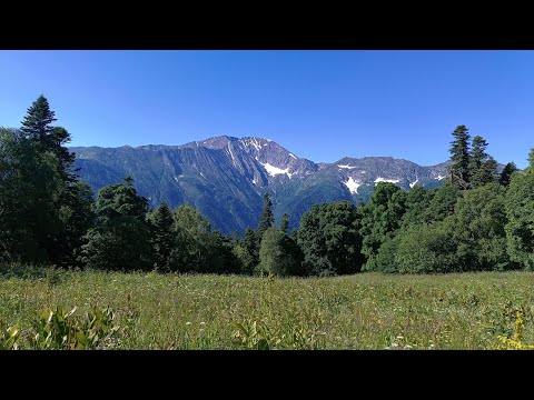 Видео: Кавказский биосферный заповедник