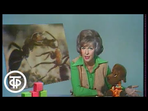 Видео: Спокойной ночи, малыши! Тетя Валя (1977)