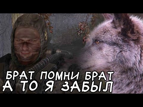 Видео: Покидаю Болота - STALKER В Аду... Псы. #5