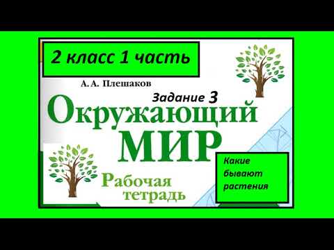 Видео: Какие бывают растения 3 задание. Окружающий мир 2 класс рабочая тетрадь. Группы растений