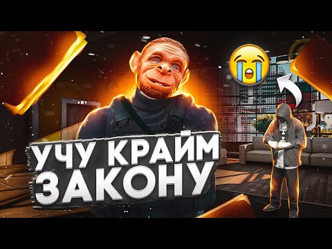 Видео: УЧУ КРАЙМ ЗАКОНУ НА MAJESTIC RP |МАДЖЕСТИК РП  #majesticrp