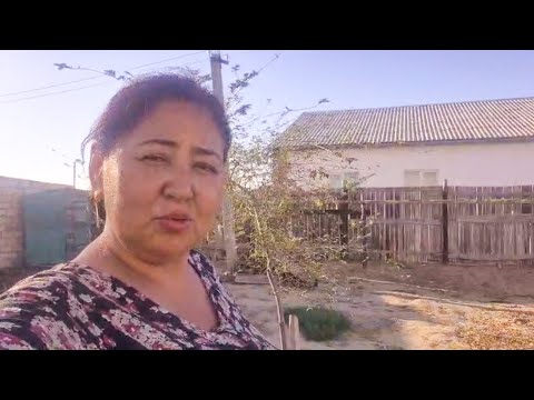 Видео: Ауылда той тойлап,қораға барыпта басқағада үлгеріп жүрмін