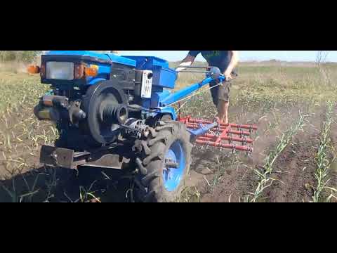 Видео: Обробка часнику по листу, проход ширигільною бороною