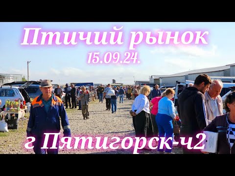 Видео: Голуби цены Птичий рынок г Пятигорск-ч2