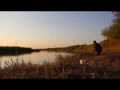 Видео: Хоразм балик ови 22 09 2024