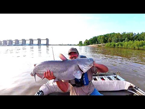 Видео: Самый большой сом летом (2025) Весёлые времена