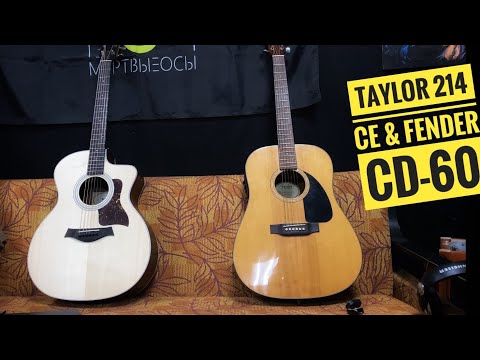 Видео: ⚡️Краткий обзор гитары Taylor 214CE. Сравнение гитар Taylor 214CE и Fender CD-60.⚡️