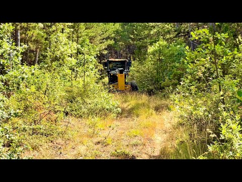 Видео: Сможет ли грейдер Deere 670 пройти по узким зелёным дорогам? #грейдер #johndeere #deere