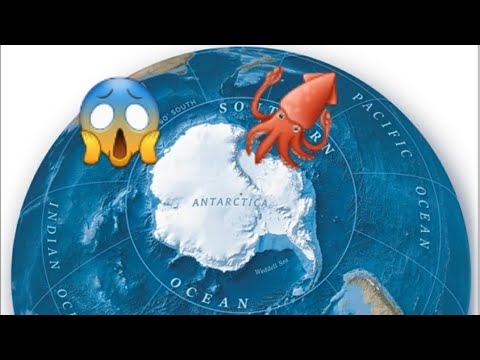 Видео: СРОЧНО КӨР 🇰🇬🇰🇿🇺🇿 😍 ОКЕАНДАР ТОП 5 !