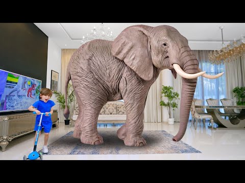 Видео: Дикие животные для детей | Учим названия и что они едят