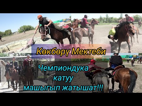 Видео: Кокбору Мектеби кызуу даярдык көрүүдө (Машыгуу)