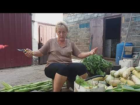 Видео: Накипело! Мои ответы на комментарии