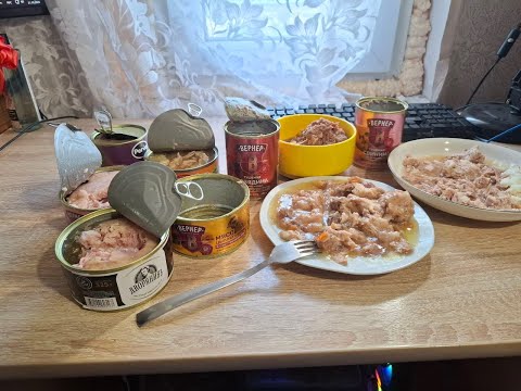 Видео: ПОПРОБОВАЛ ВСЕ МЯСНЫЕ КОНСЕРВЫ ИЗ ЧИЖИКА