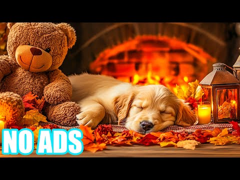 Видео: 12 часов музыки для собак на Хэллоуин у камина 🔥 | Уютное потрескивание огня и нежные мелодии для