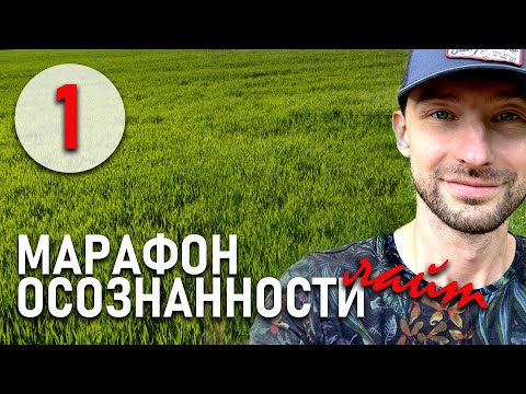 Видео: Марафон Осознанности. 1 - Внимание к телу