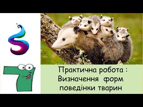 Видео: Практична робота : Визначення  форм поведінки тварин