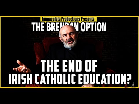 Видео: Катастрофа в учебной программе Новой ирландской начальной школы | ВАРИАНТ БРЕНДАНА 235