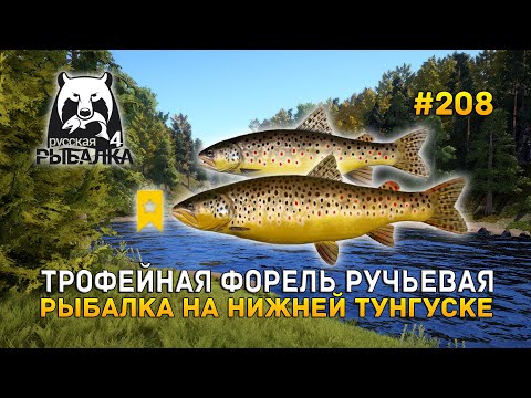 Видео: Трофейная Форель Ручьевая. Рыбалка на Нижней Тунгуске - Русская Рыбалка 4 #208