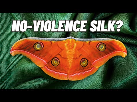 Видео: Tussar Silk: история шёлка без насилия из Индии