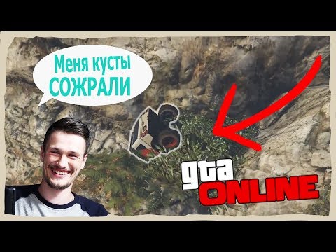 Видео: ДЖО СОЖРАЛИ КУСТЫ/СТРёМНАЯ НАРЕЗКА
