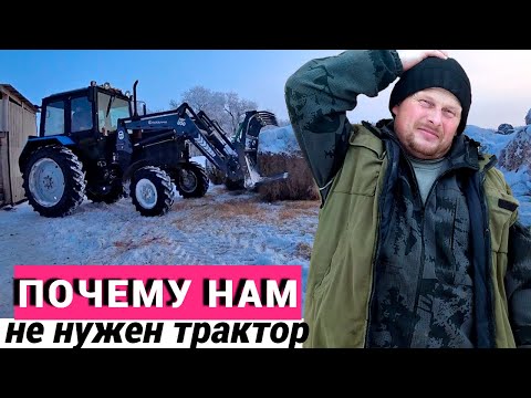 Видео: Почему нам не нужен трактор в деревне. Поение быков зимой на улице. Как кормим маленьких телят.