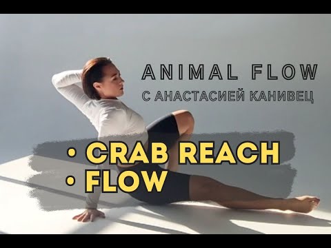 Видео: ANIMAL FLOW 3 И 6 КОМПОНЕНТ