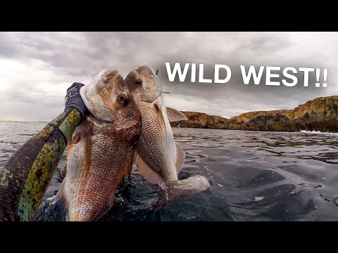 Видео: Лучшая подводная охота с берега в Австралии?