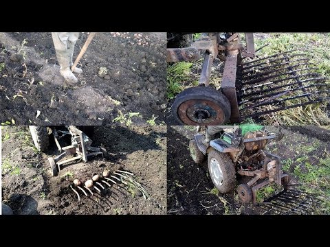 Видео: Картофеле копалка " вибролопата" с аксиальным эсентриком