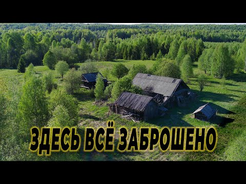Видео: Как здесь жили люди? заброшенные деревни а лесах Костромской области