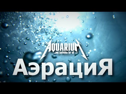 Видео: Качественная аэрация в аквариуме - это как?