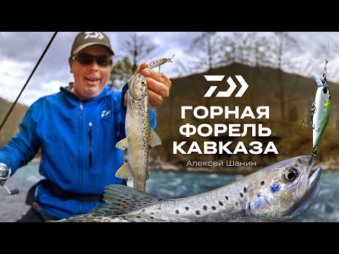 Видео: ГОРНАЯ ФОРЕЛЬ КАВКАЗА / АЛЕКСЕЙ ШАНИН