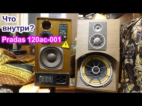 Видео: Что внутри экзотических колонок Pradas 120ас-001 ?