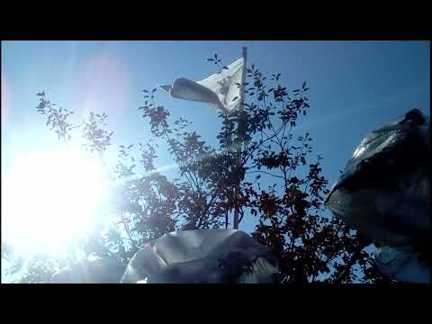 Видео: Как защитить ягоды ирги от птиц. Новый способ..