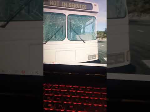 Видео: 27 октября 2025 г.